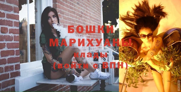 ГАЛЛЮЦИНОГЕННЫЕ ГРИБЫ Няндома