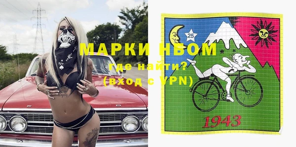 индика Ижевск